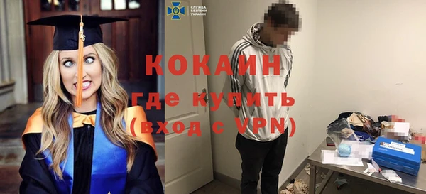индика Володарск