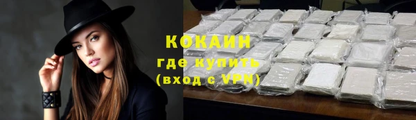 индика Володарск
