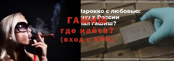 индика Володарск