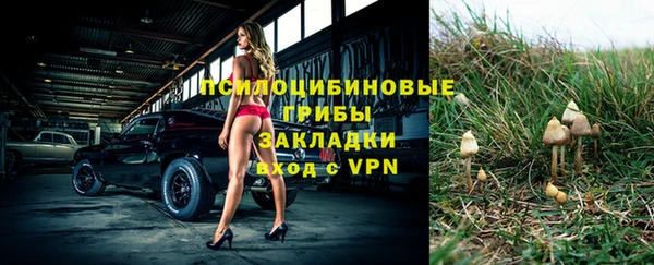 дурь Волосово