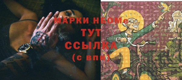 индика Володарск