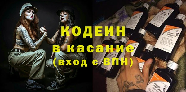 индика Володарск