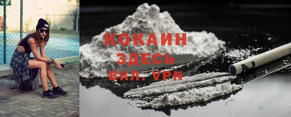 индика Володарск