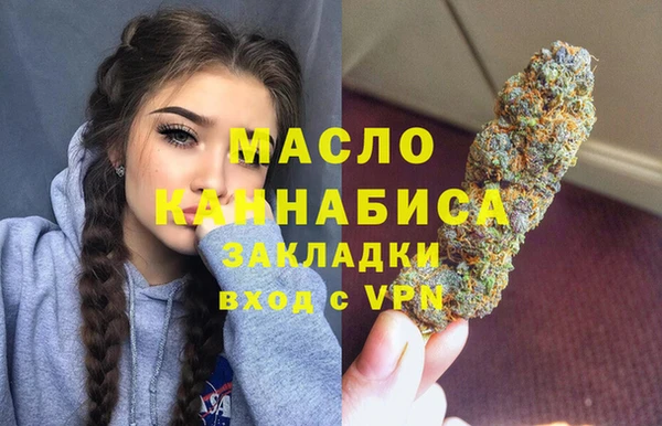 индика Володарск