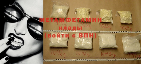 индика Володарск