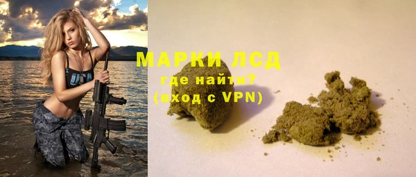индика Володарск